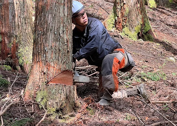 未経験者にも丁寧に指導いたします!