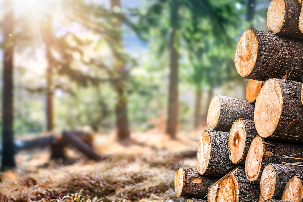 食材選びのコツがわかる!